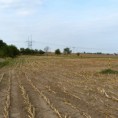/album/fotogalerie/p1070647b-jpg/